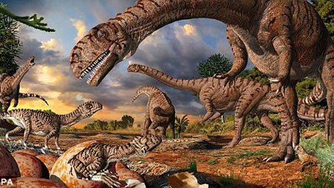 Phát hiện tổ khủng long xưa chưa từng thấy